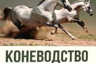 Новое учебное пособие
