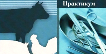 Новинки книжной полки