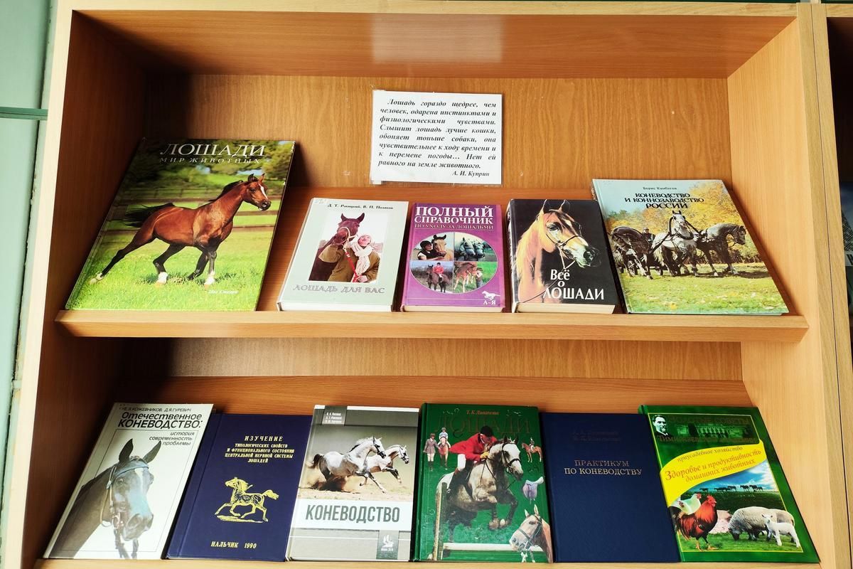 2026 03 19 10 48 40 879