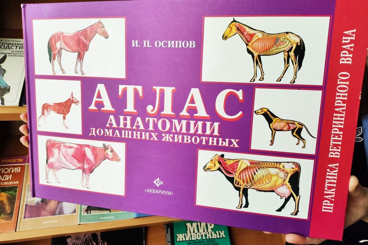 2026 03 19 10 48 40 879