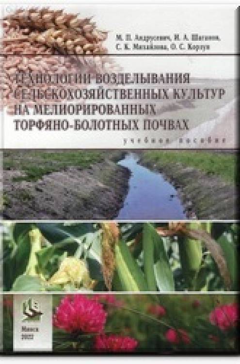 Виртуальный обзор за 1 квартал 2024 года