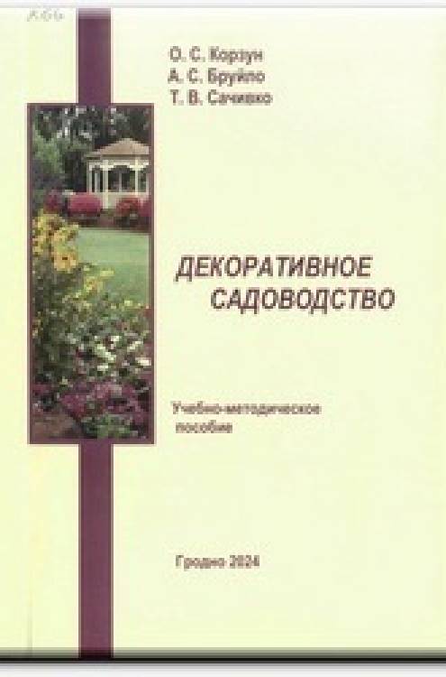 Виртуальный обзор за 3 квартал 2024 года