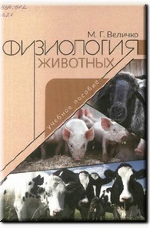 Виртуальный обзор за 1 квартал 2025 года